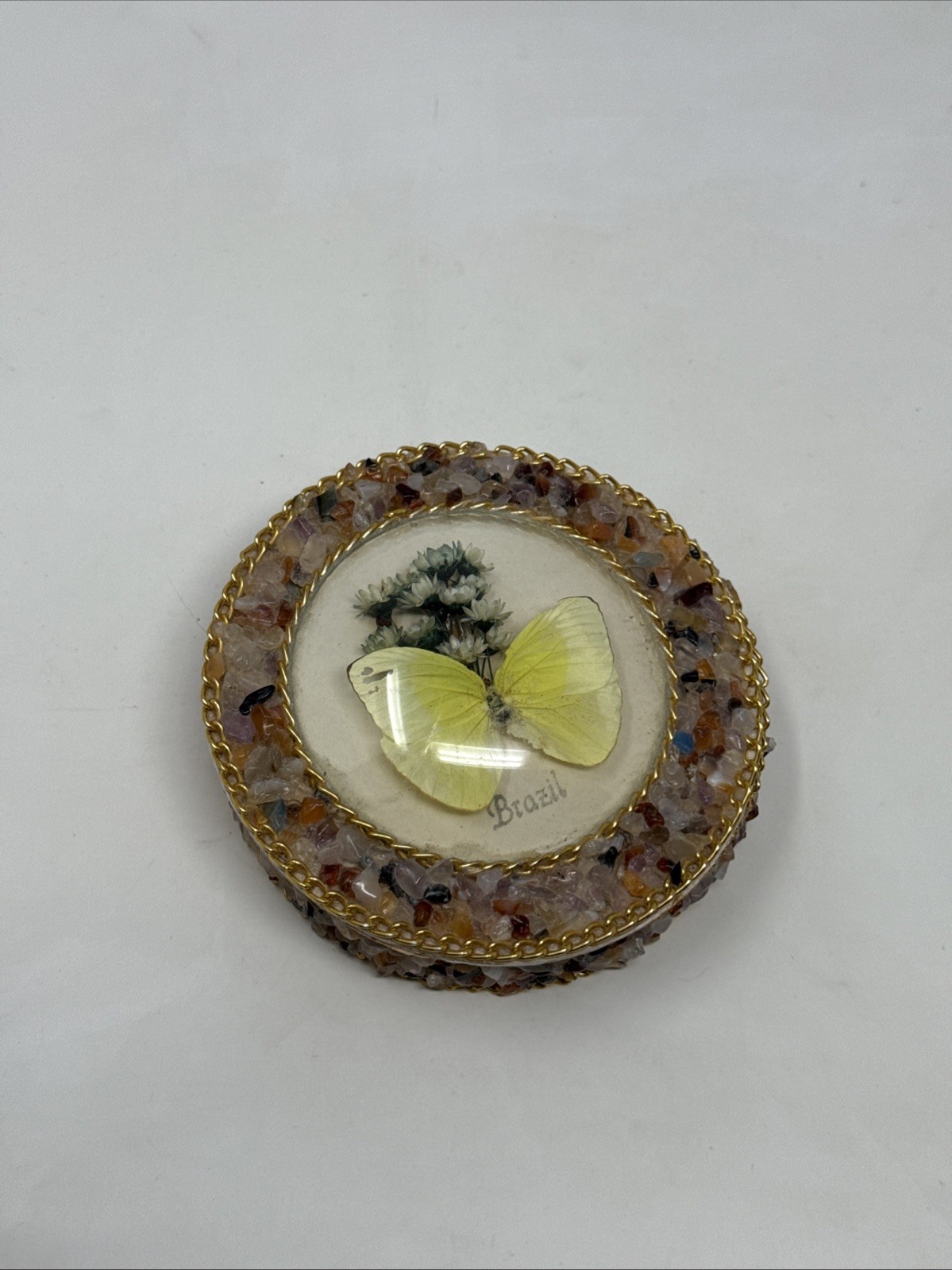 Vintage Real Butterfly Taxidermy Round Convex Glass Stone Box Brazil Brasil Vintage Real Butterfly Taxidermy Round Convex Glass Stone Box Brazil Brasil