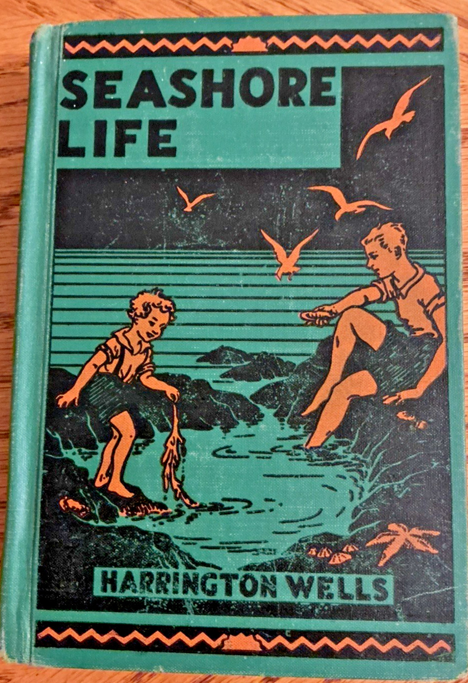 Vintage 1937 Seashore Life by Harrington Wells Hardcover Book Vintage 1937 Seashore Life by Harrington Wells Hardcover Book
