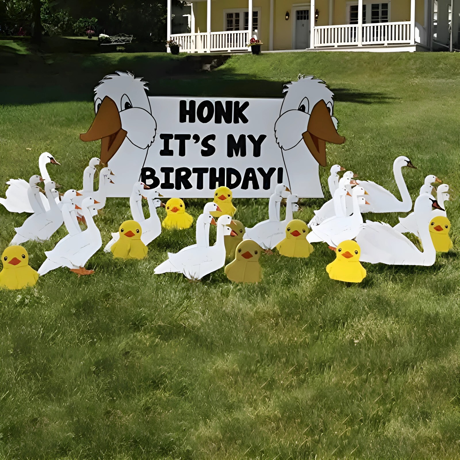 Honk It\'s My Birthday Yard Sign Set, 22pcs with Stakes Honk It\'s My Birthday Yard Sign Set, 22pcs with Stakes