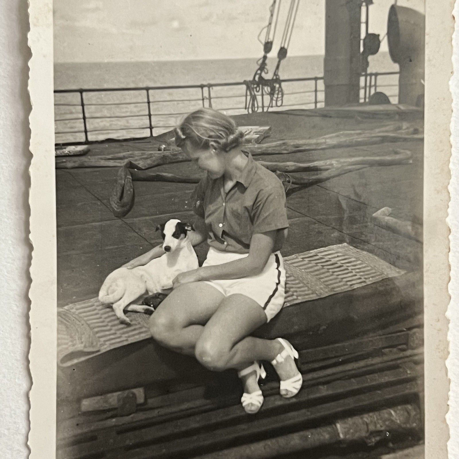 Antique Snapshot Photograph Beautiful Woman Dog On Boat Ship In Ocean Antique Snapshot Photograph Beautiful Woman Dog On Boat Ship In Ocean