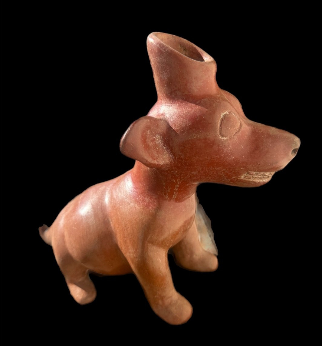 AMAZING BEAUTIFUL  COLIMA DOG CIRCA 100 BC - WONDERFULLY SCULPTED AUTHENTIC