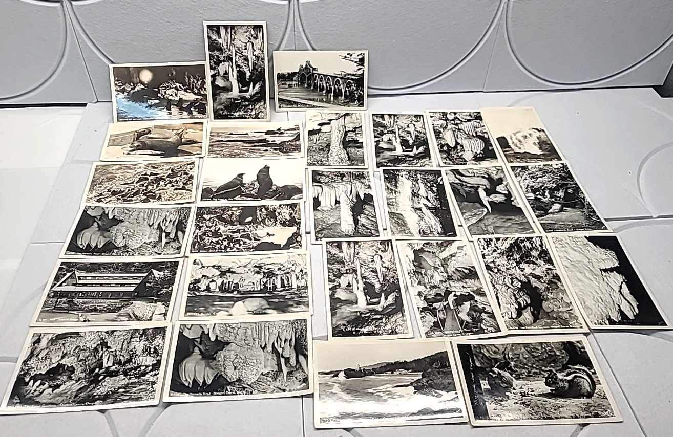 RPPC 27 Oregon Coast Caves Depot Bay Coos Bay Sea Lions Saywers Postcard Lot
