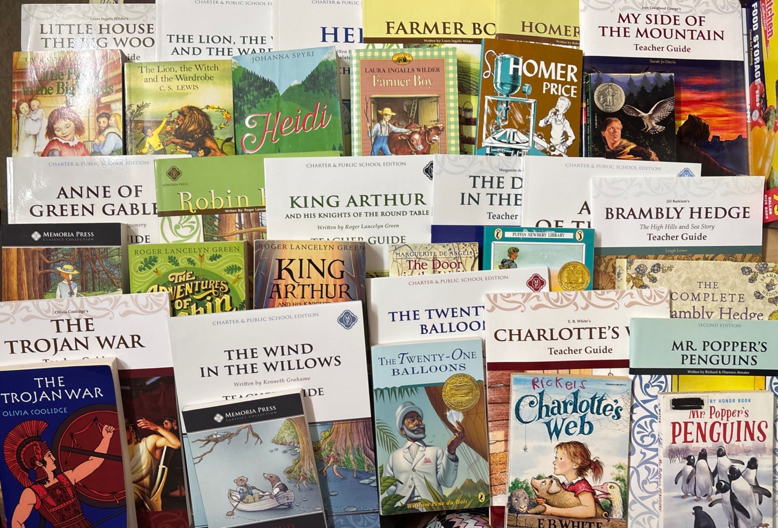 Lot of 17 Memoria Press Elementary Readers + Literature Teacher Guide Sets VG