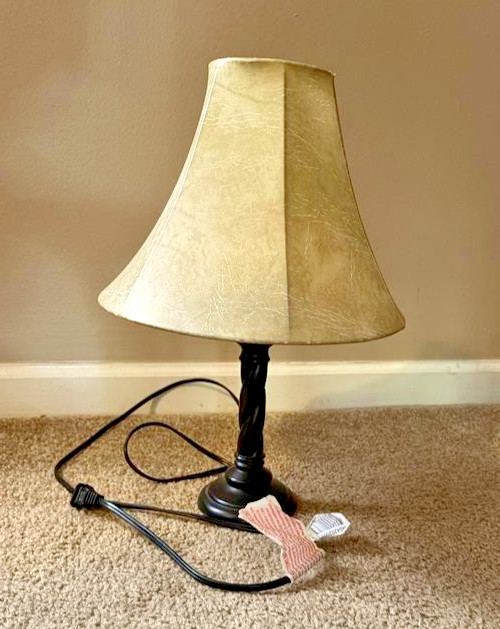 Lamp working local pick up only