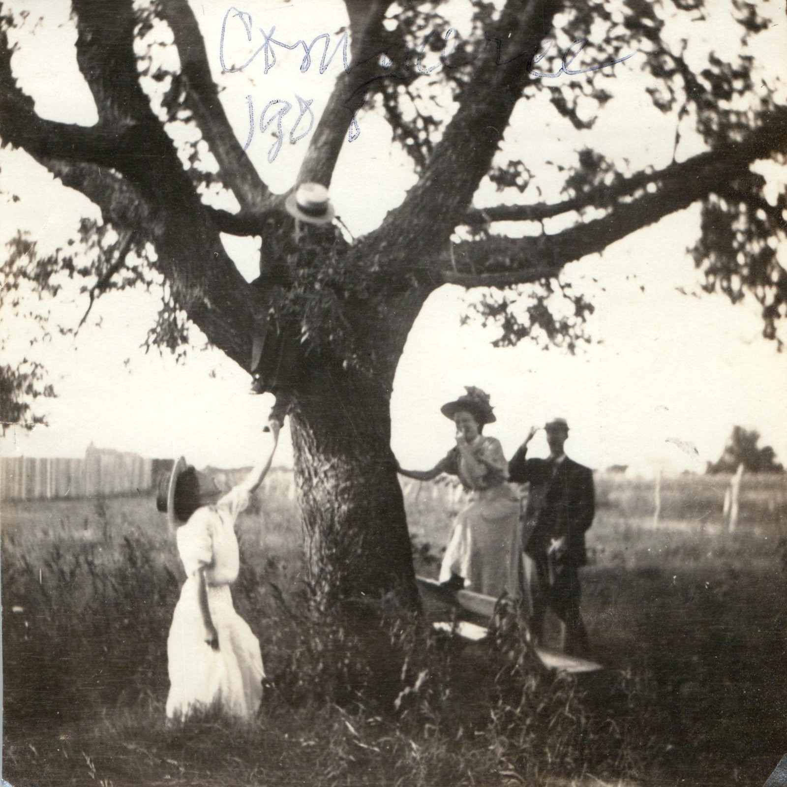 1908 Boy Climbing Tree Edwardian Fashion Snapshot Photo Women Straw Hats Field