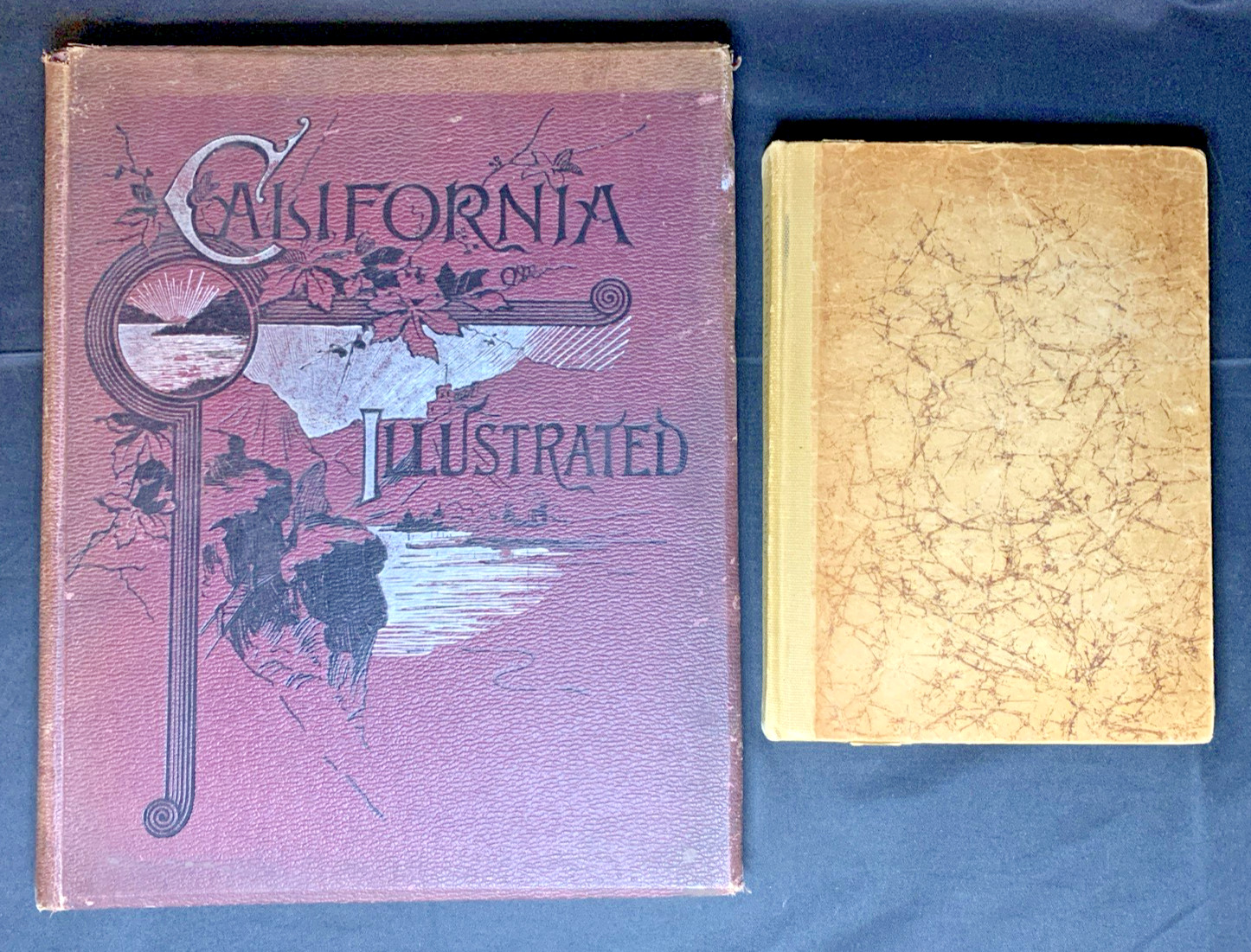 Antiq LOT of 2: Lights & Shadows of Yosemite 1926 & CA Illustrated 1892 Gilded