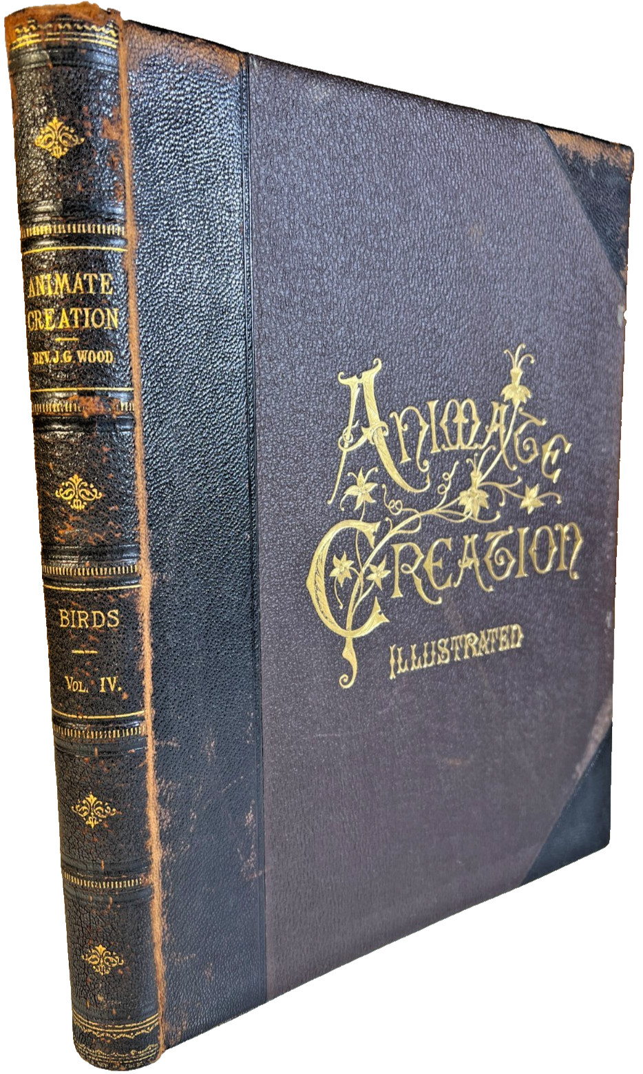 Antique Victorian 1888 Animate Creation Birds J.G. Wood Selmar Hess Illustrated