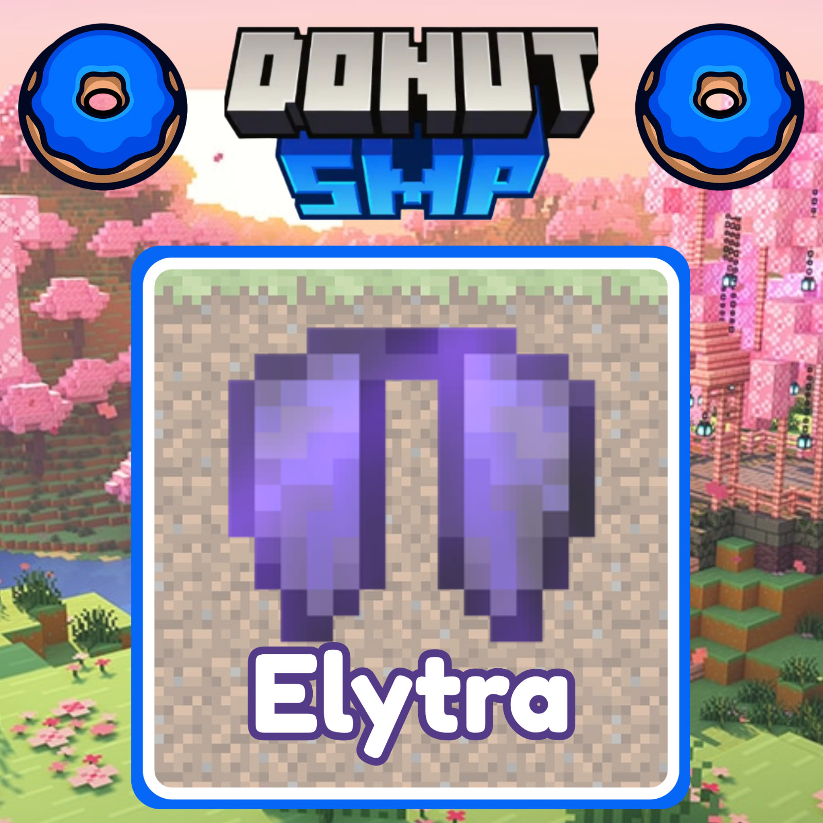 Donut SMP 💙 - Elytras / Money / Skeleton Spawners & MORE | InPets