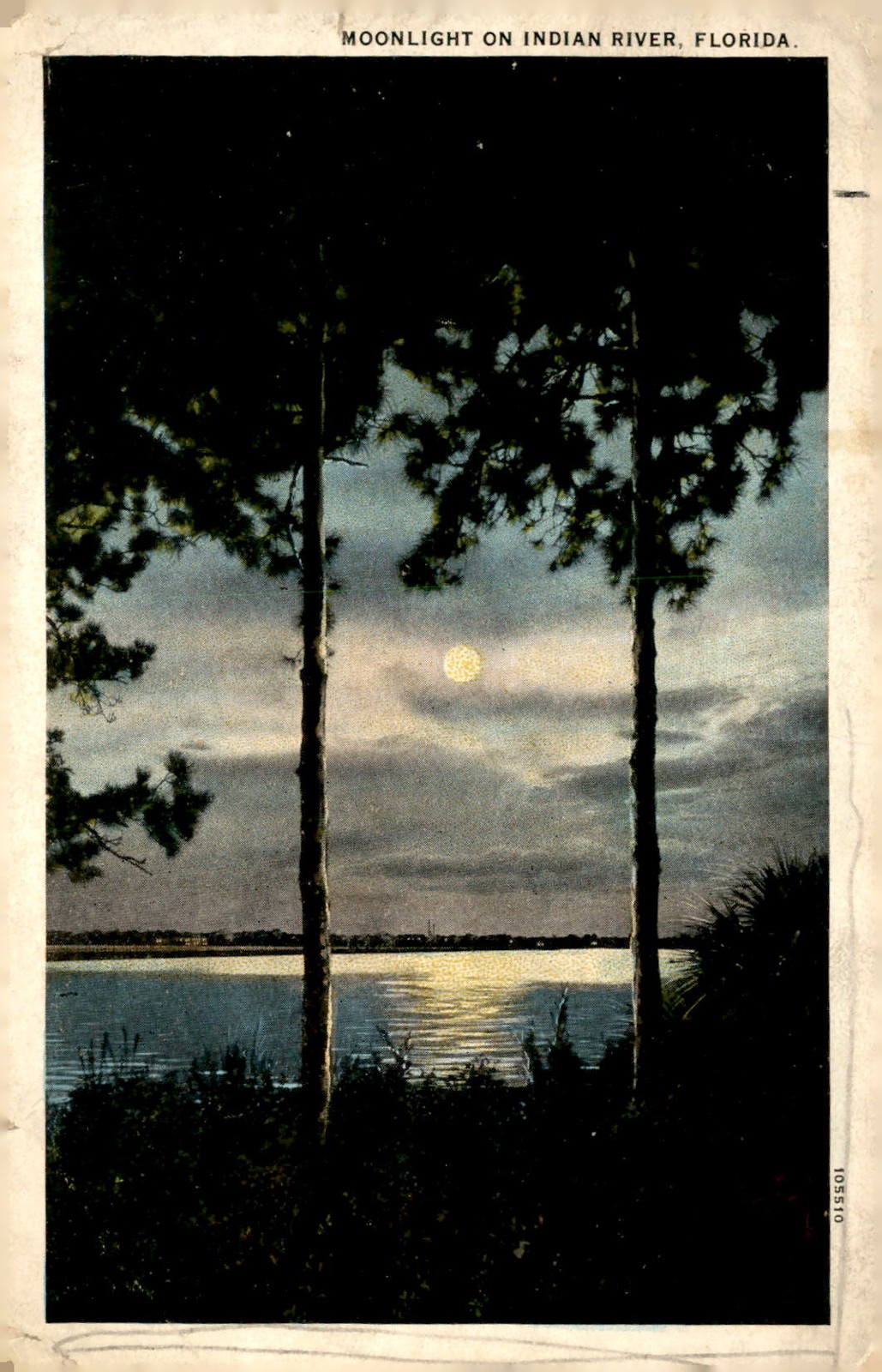 Moonlight on Indian River, Florida - 1926 Postcard Moonlight on Indian River, Florida - 1926 Postcard