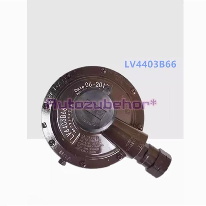 1pc New REGO LV4403B66 LP Gas Regulator 450L Compressed Gas Regulator *vm