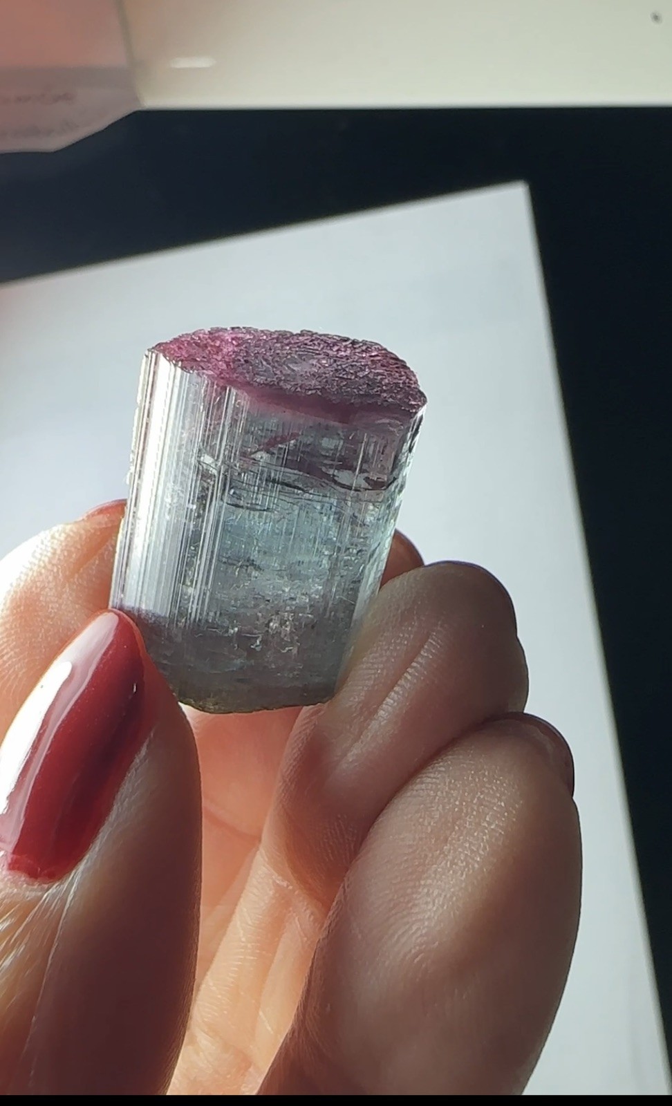 Blue tourmaline terminated on top, wonderful color ,very nice piece ,8,90 g Blue tourmaline terminated on top, wonderful color ,very nice piece ,8,90 g