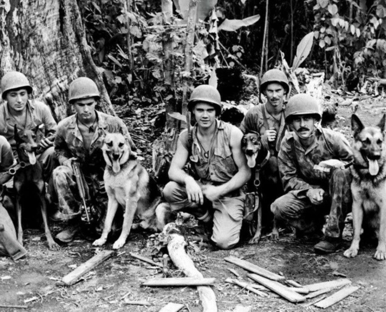 U.S. Marines with their War Dogs in the Pacific WWII WW2 8x10 Photo U.S. Marines with their War Dogs in the Pacific WWII WW2 8x10 Photo