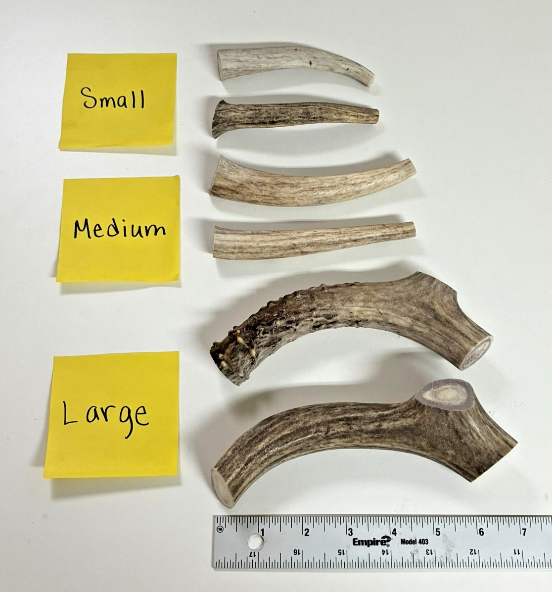 Premium Natural Deer Antler Dog Chews **2 Pack** USA (SMALL, MEDIUM, or LARGE) Premium Natural Deer Antler Dog Chews **2 Pack** USA (SMALL, MEDIUM, or LARGE)
