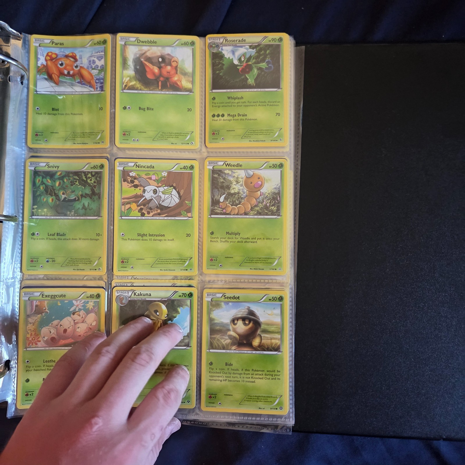 pokemon cards lot bulk common 0ver 250 cards pokemon cards lot bulk common 0ver 250 cards