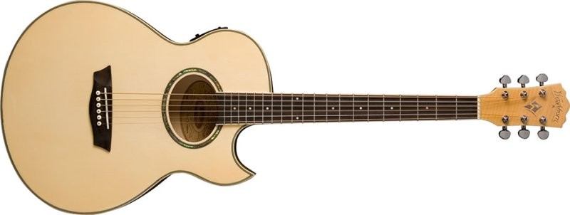Washburn EA20-A-U Washburn EA20-A-U