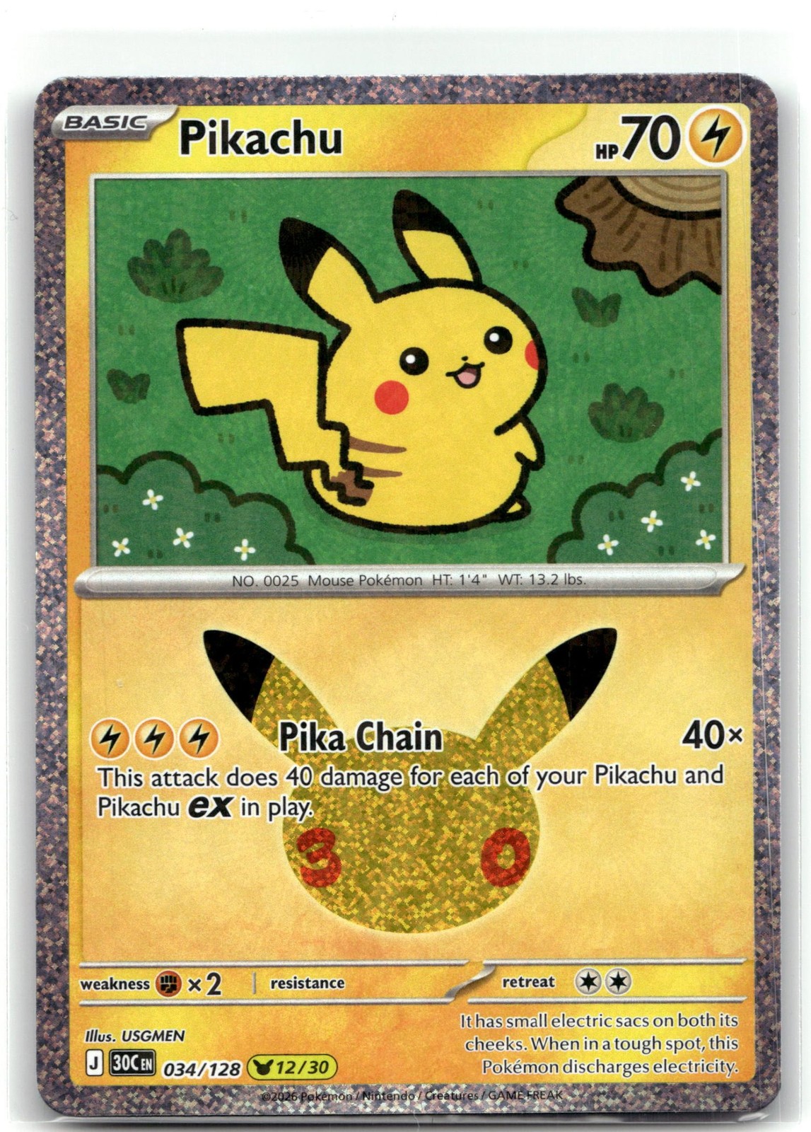 Pikachu Holofoil [30C - 034/128]