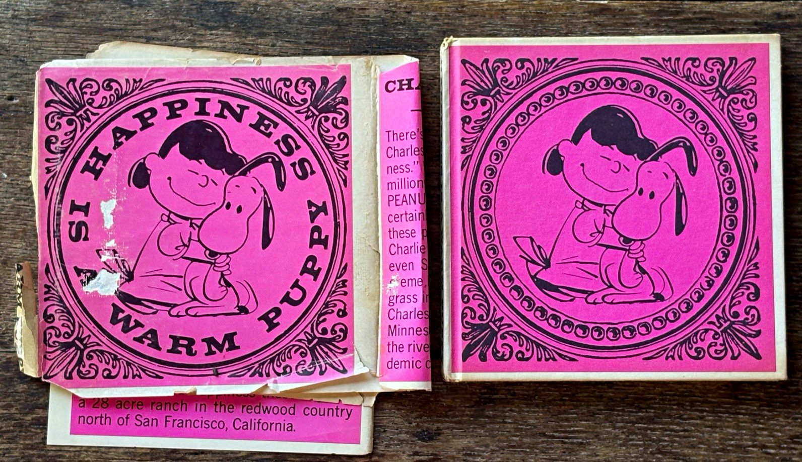 Happiness Is a Warm Puppy HC Illustrated Picture Book Charles M. Schulz 1962