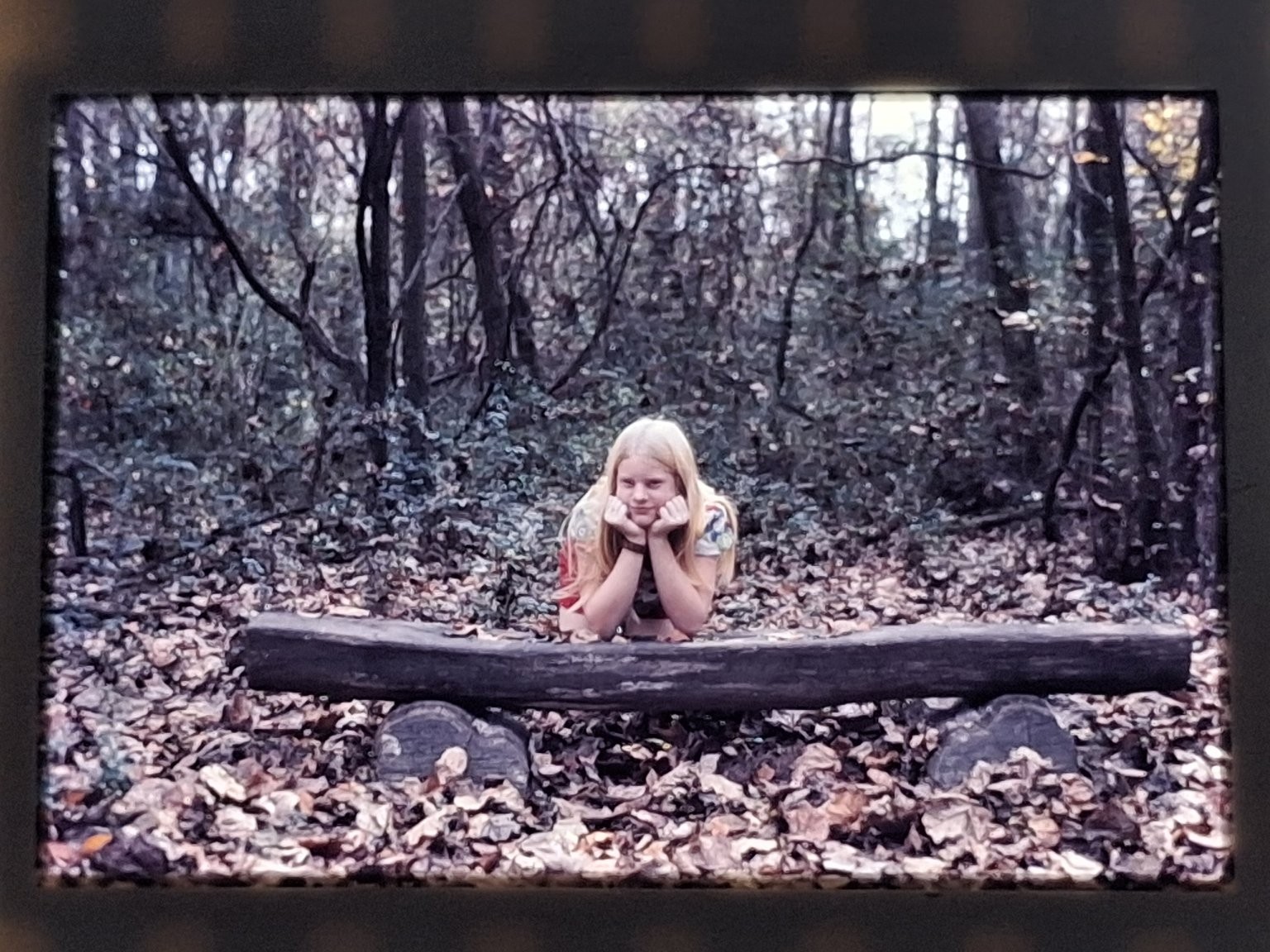Young Girl Forest Kodachrome Slide 1974 Candid Outdoor Nature Vintage Young Girl Forest Kodachrome Slide 1974 Candid Outdoor Nature Vintage