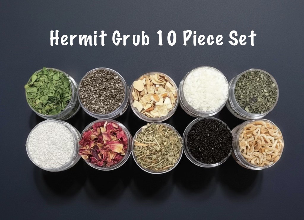 Hermit Crab Food - 10 Piece Set - Hermit Grub - Hermit Crab Meal