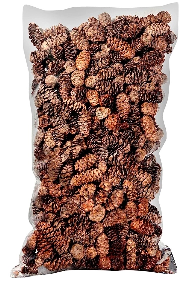250 Small Mini Pine Cones 250 Small Mini Pine Cones