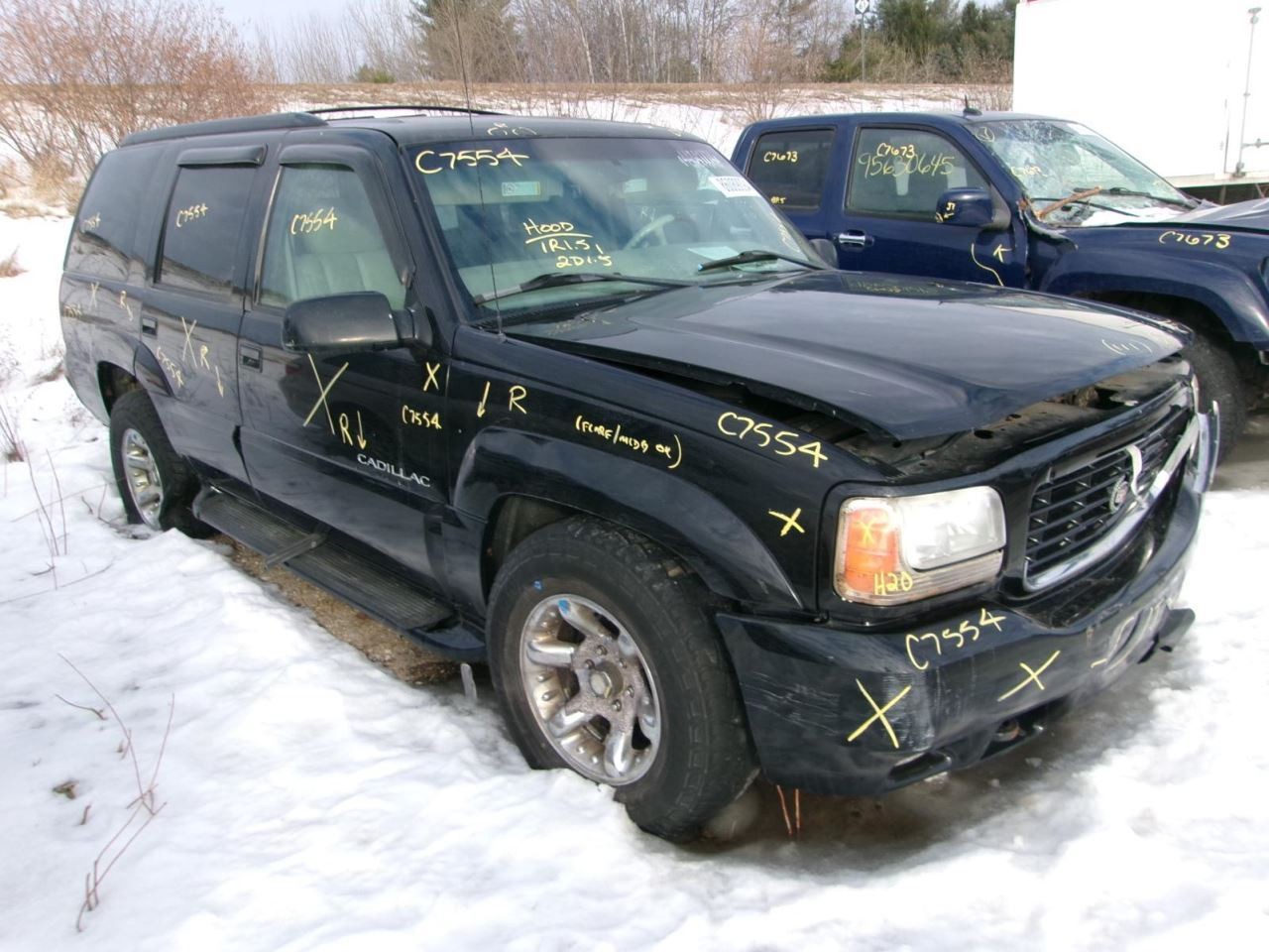 Driver Corner/Park Light Fog-driving Bumper Mounted Fits 99-00 ESCALADE 2231378