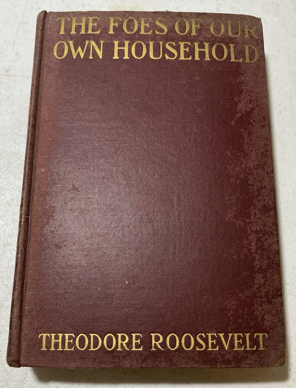 The Foes of Our Own Household by Theodore Roosevelt Published In 1917 Hardback The Foes of Our Own Household by Theodore Roosevelt Published In 1917 Hardback