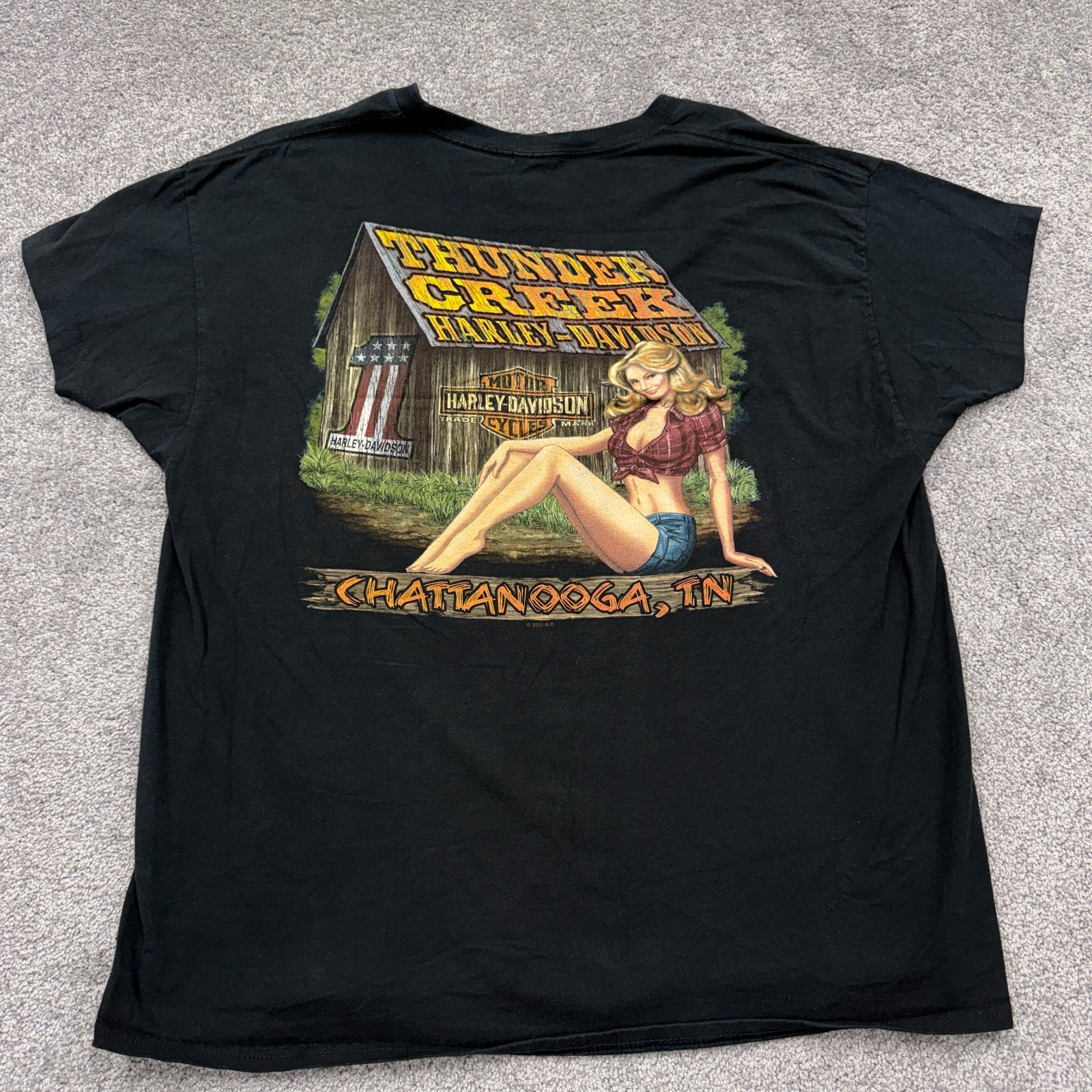 Harley Davidson Thunder Creek Chattanooga TN T Shirt Mens XL Pinup Girl 2013