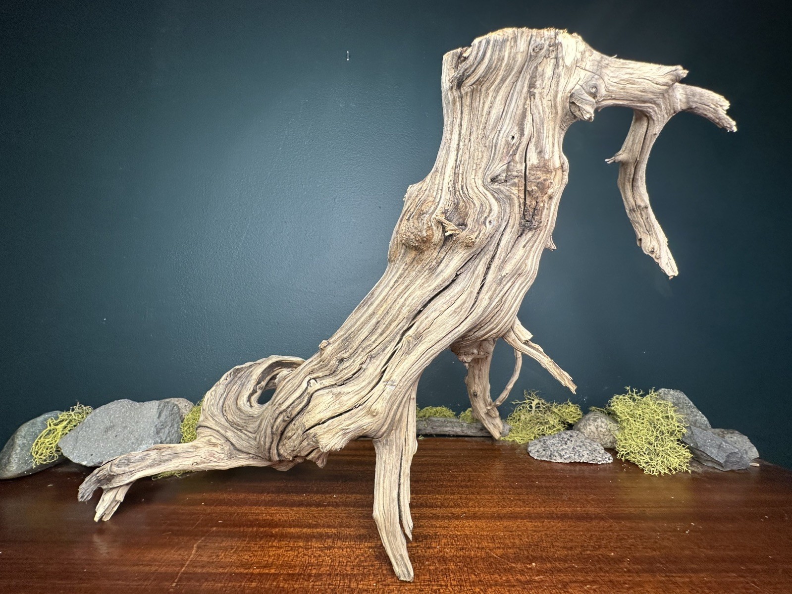 17” Manzanita Driftwood Branch, Aquarium, Terrarium, Aquascape,Home Decor 17” Manzanita Driftwood Branch, Aquarium, Terrarium, Aquascape,Home Decor