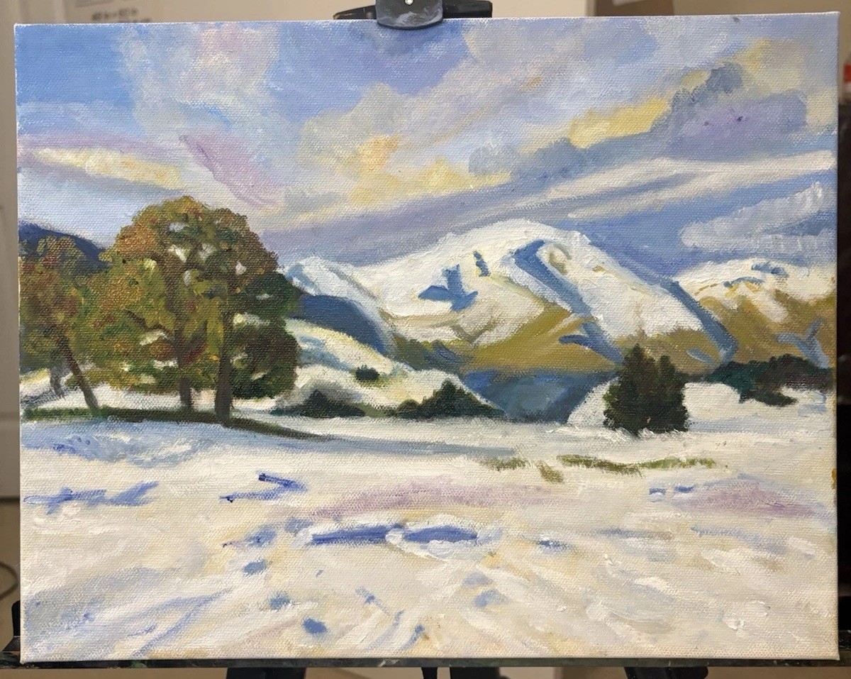 Original Oil Painting Snowy Mountain Landscape Unframed 11x14 inches