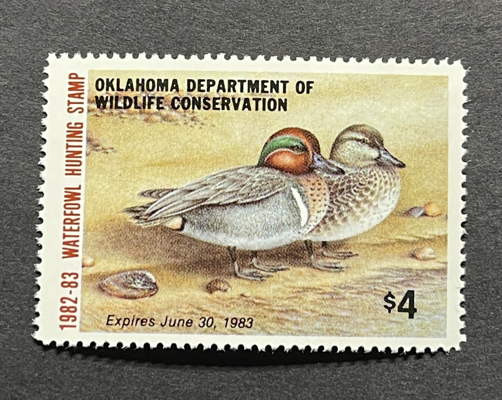 WTDstamps - 1982 OKLAHOMA - State Duck Stamp - Lot1 - Mint OG NH WTDstamps - 1982 OKLAHOMA - State Duck Stamp - Lot1 - Mint OG NH
