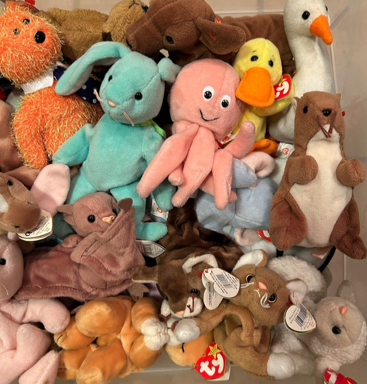 TY Beanie Babies Blind Box - Lot of 10  Random Beanie Baby \'90s-\'00s