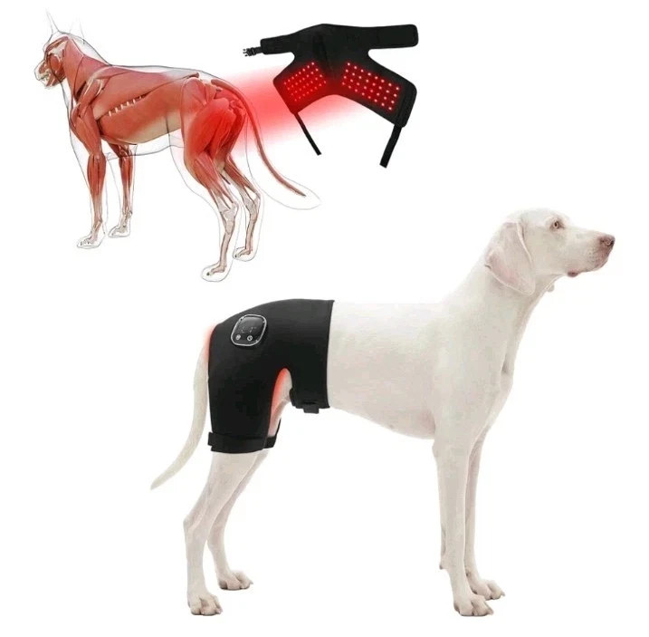 XL Dog Hip Brace with Red Light Therapy for Female Dogs OPN BX