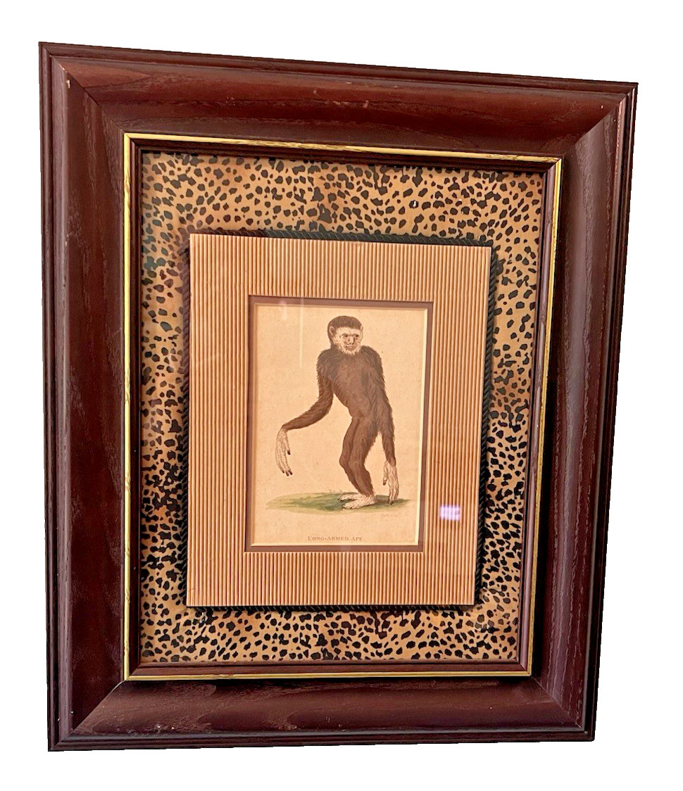 Five Antique c1800 Hand Colored Primate Engravings Kearsley London Heath Sculp.