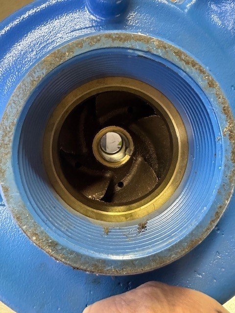 Goulds Water Technology Pump Casing Model 3656 – 2½\ Goulds Water Technology Pump Casing Model 3656 – 2½\