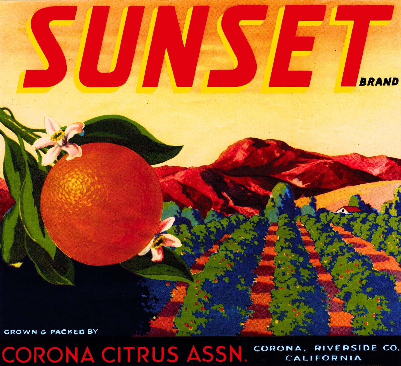 Sunset Orange Corona Riverside California Citrus Fruit Crate Label Art Print Sunset Orange Corona Riverside California Citrus Fruit Crate Label Art Print