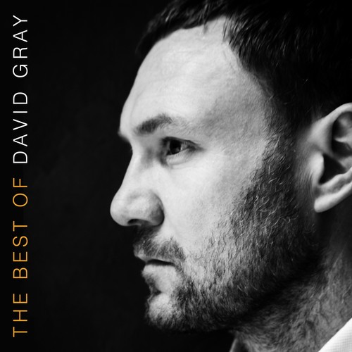 David Gray - The Best Of David Gray [New Vinyl LP] Gatefold LP Jacket