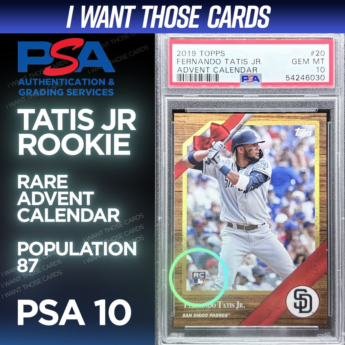 FERNANDO TATIS JR PSA 10 ROOKIE - 2019 Topps RC RARE - Pop. 87