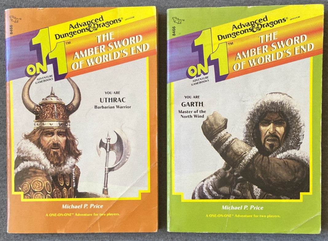 TSR Advanced Dungeons & Dragons 1 On 1 The Amber Sword Of World’s End