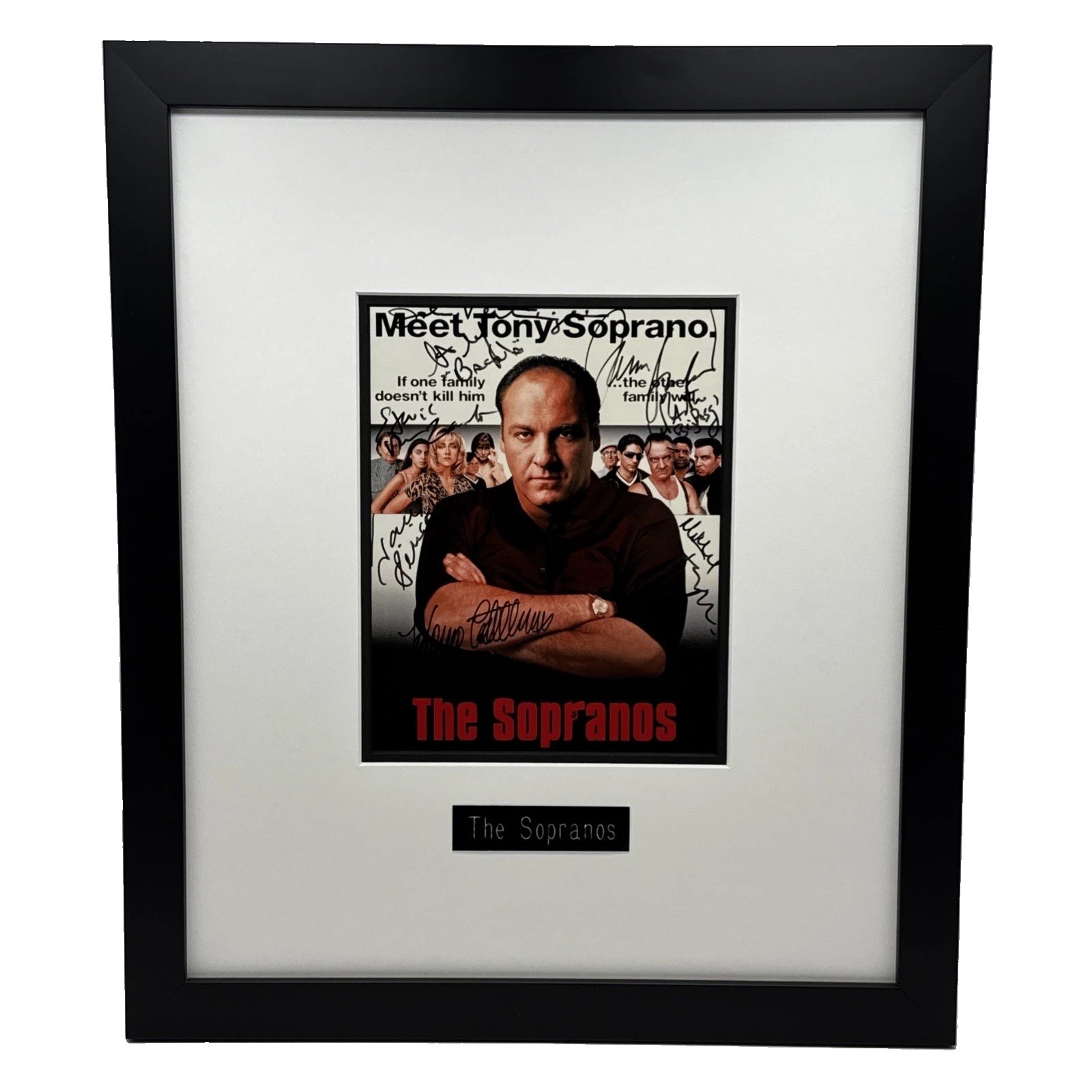 Sopranos Poster Autographed Signed James Gandolfini Tony Sirico + Cast 20\