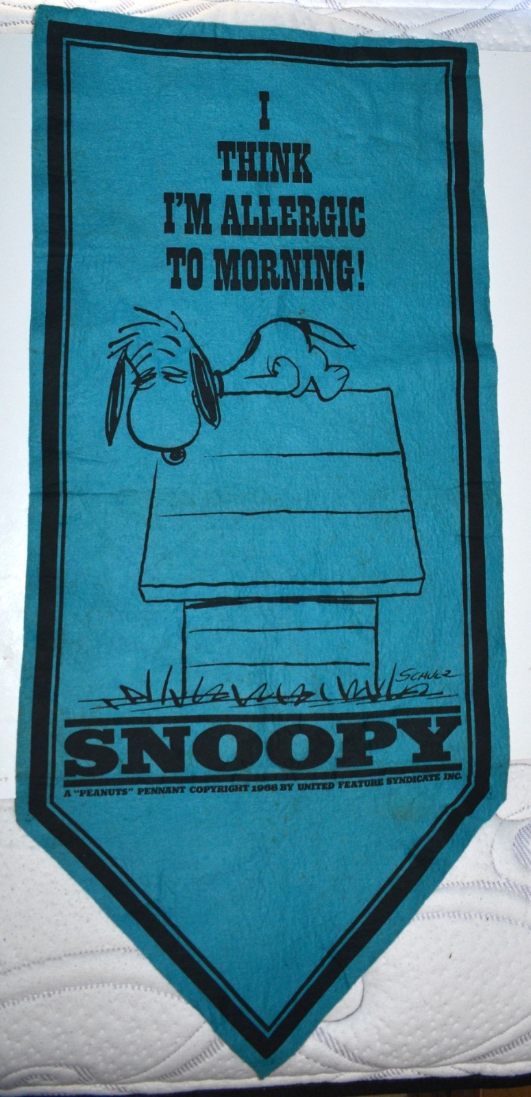 Vintage Peanuts \