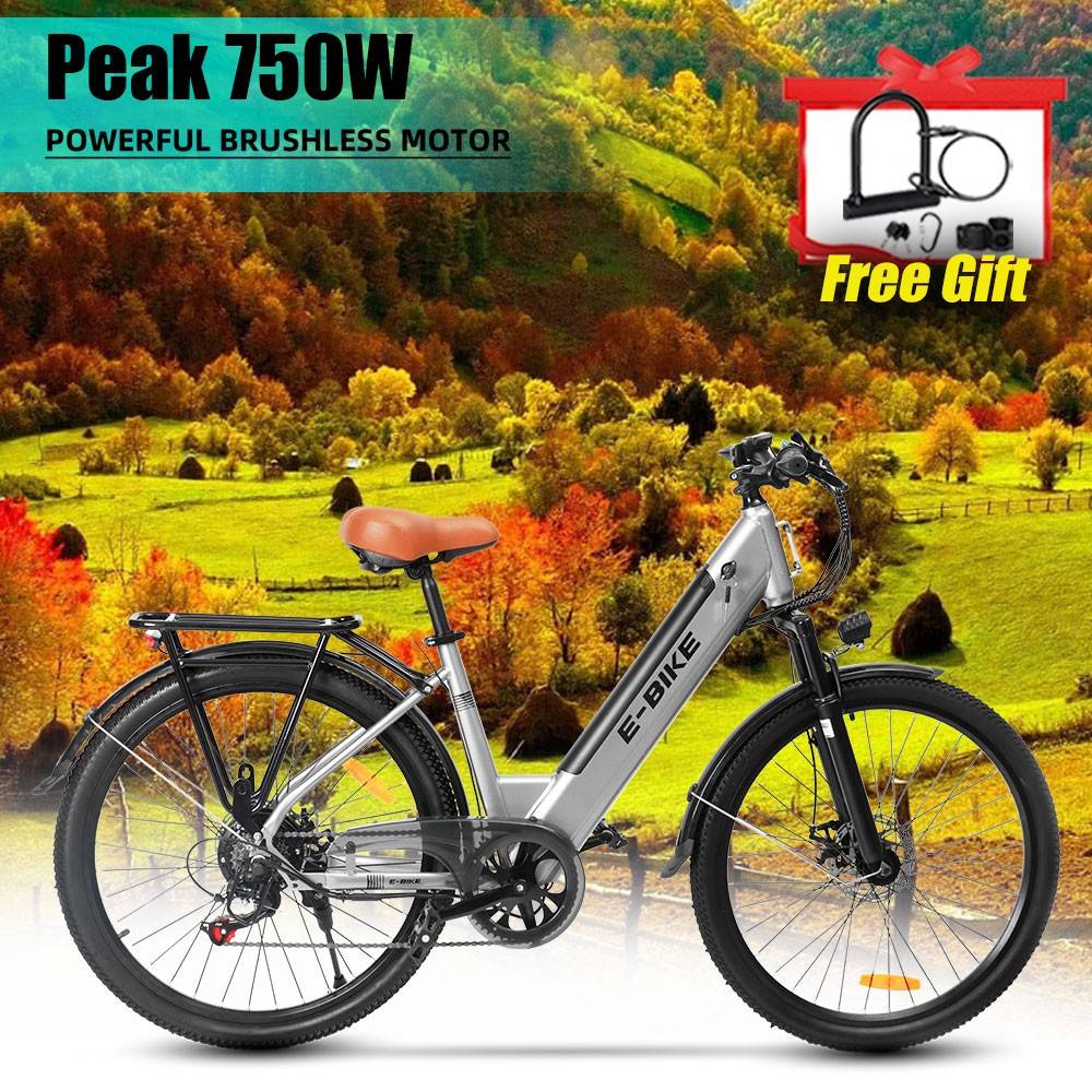 Axiniu E-Bike 26 Axiniu E-Bike 26