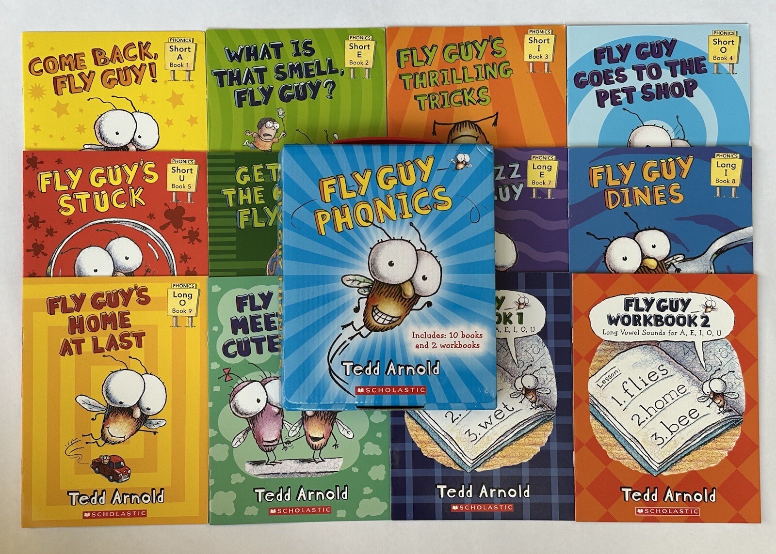 Fly Guy Phonics Children’s Books Beginning Readers Lot 12 Fly Guy Phonics Children’s Books Beginning Readers Lot 12