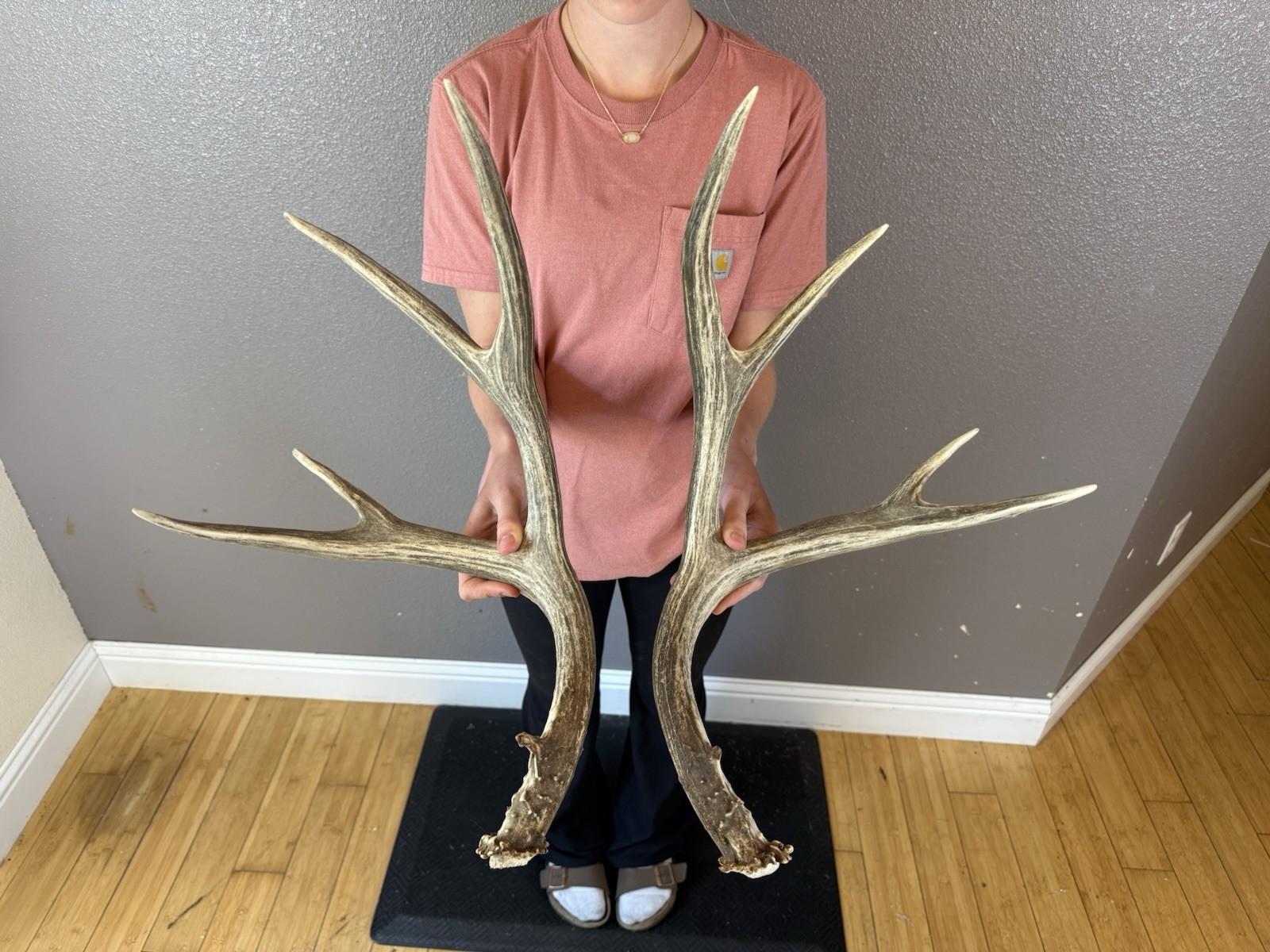 Matched Set Mule Deer Sheds Antlers 4x4 WILD IDAHO Horns Wedding Decor Matched Set Mule Deer Sheds Antlers 4x4 WILD IDAHO Horns Wedding Decor