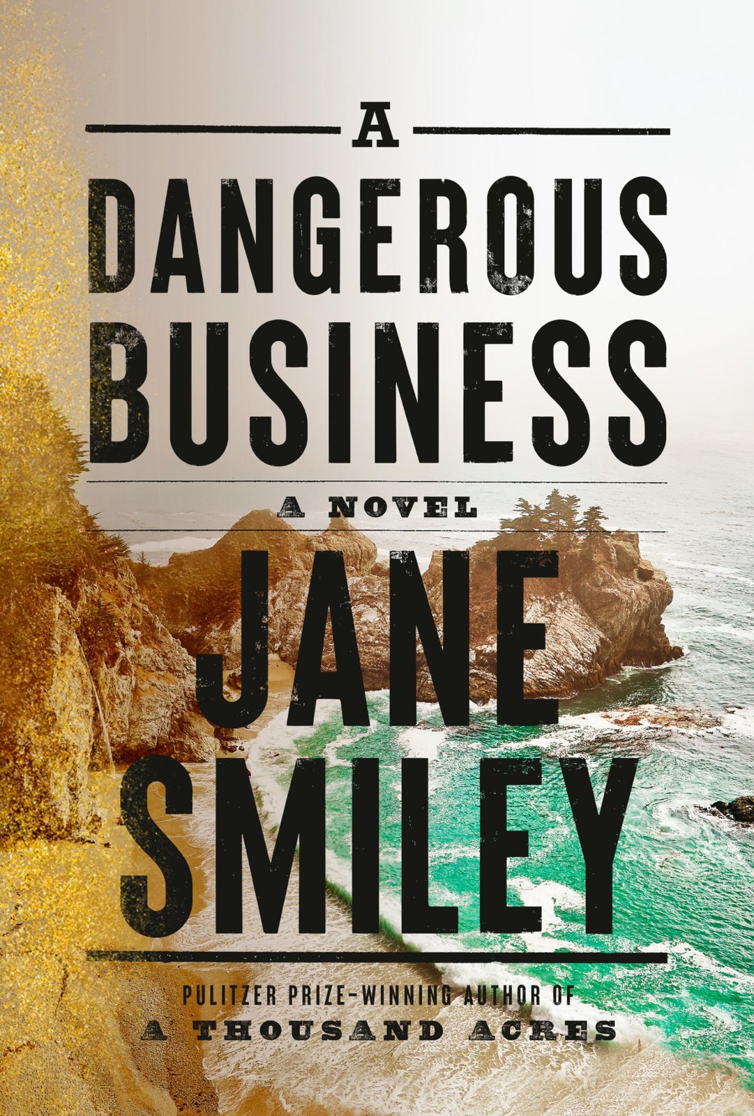 A Dangerous Business: A novel A Dangerous Business: A novel