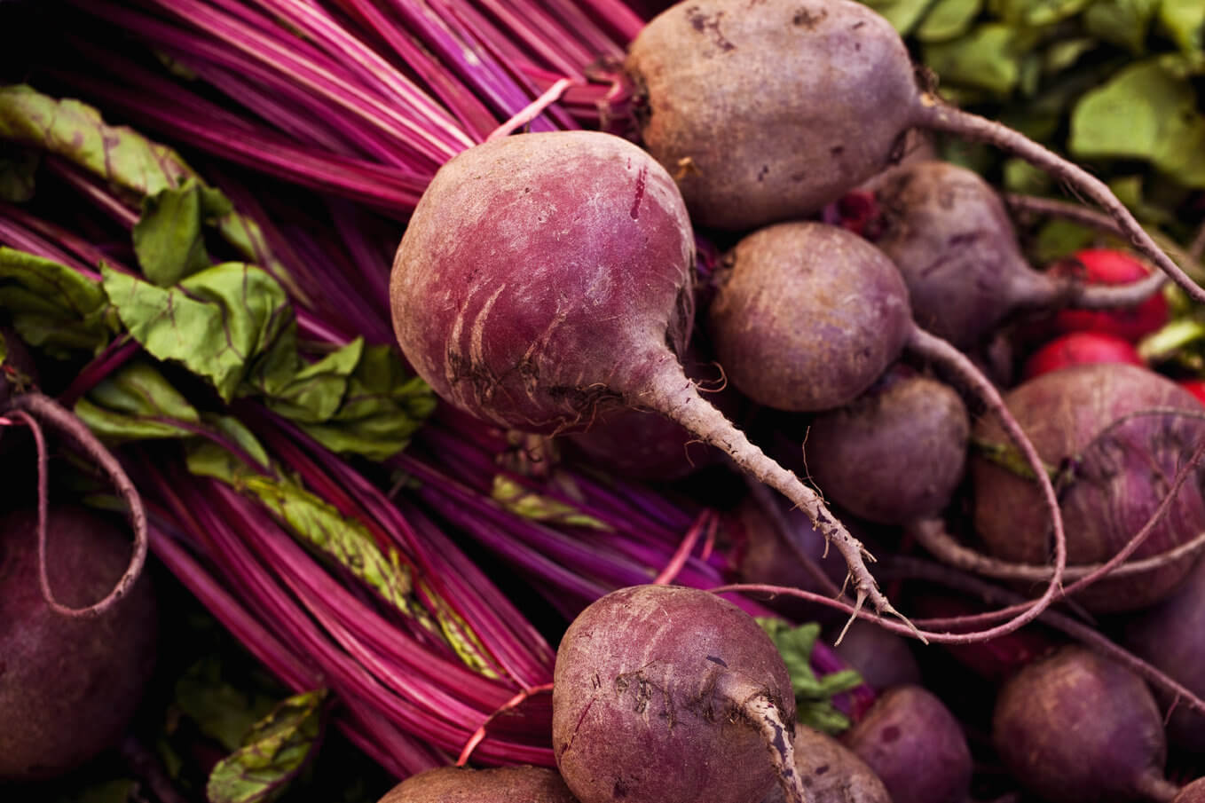 Detroit Dark Red Beet Seeds, NON-GMO, Detroit Globe, Heirloom, 