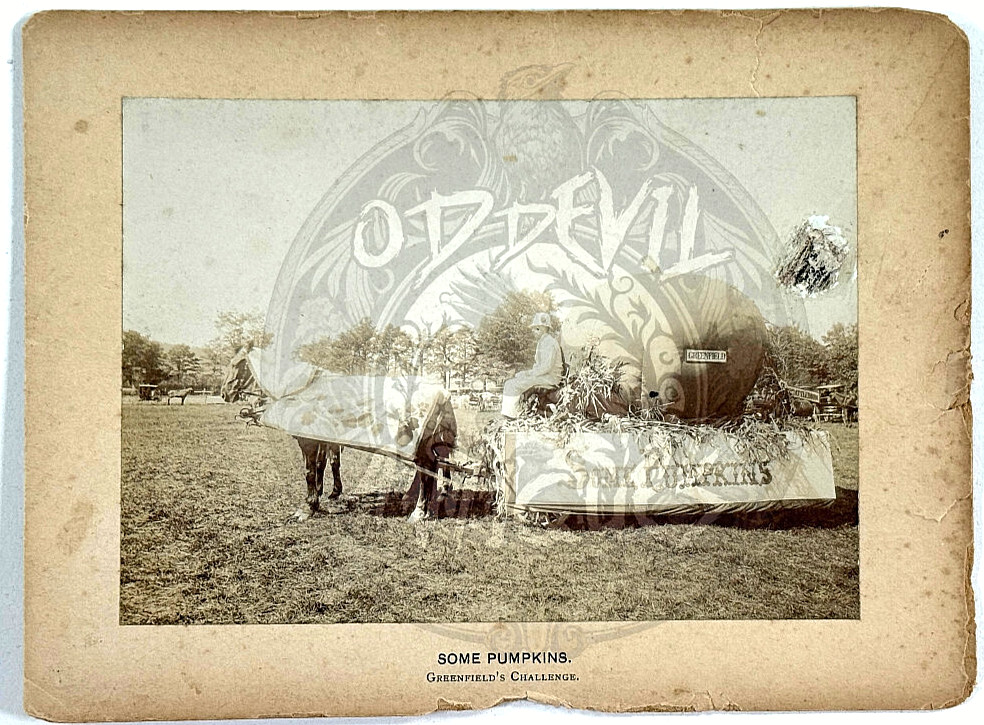 1897 Dunklee & Freeman Greenfield MA Halloween Pumpkins Parade Float photo 1897 Dunklee & Freeman Greenfield MA Halloween Pumpkins Parade Float photo