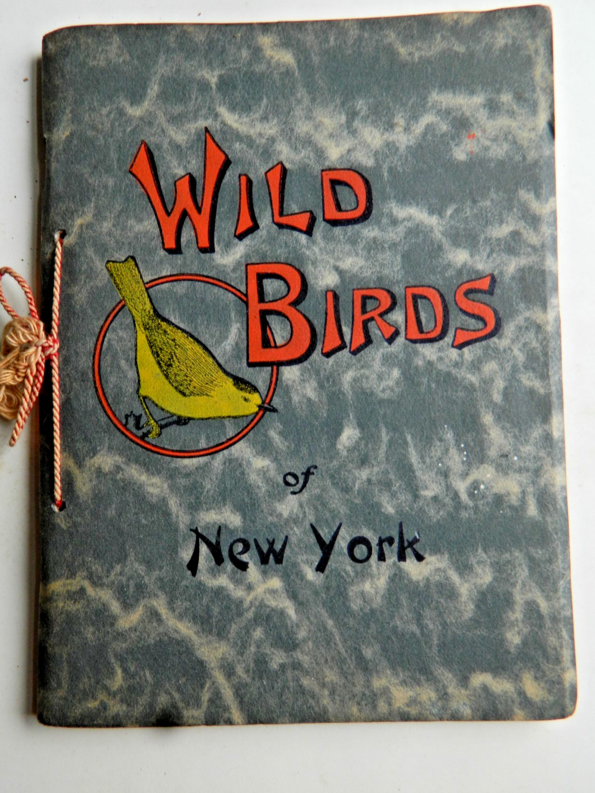 WILD BIRD OF NY CHESTER A. REED MOHONK LAKE 1912 40 COLOR ILLUSTRATIONS WILD BIRD OF NY CHESTER A. REED MOHONK LAKE 1912 40 COLOR ILLUSTRATIONS