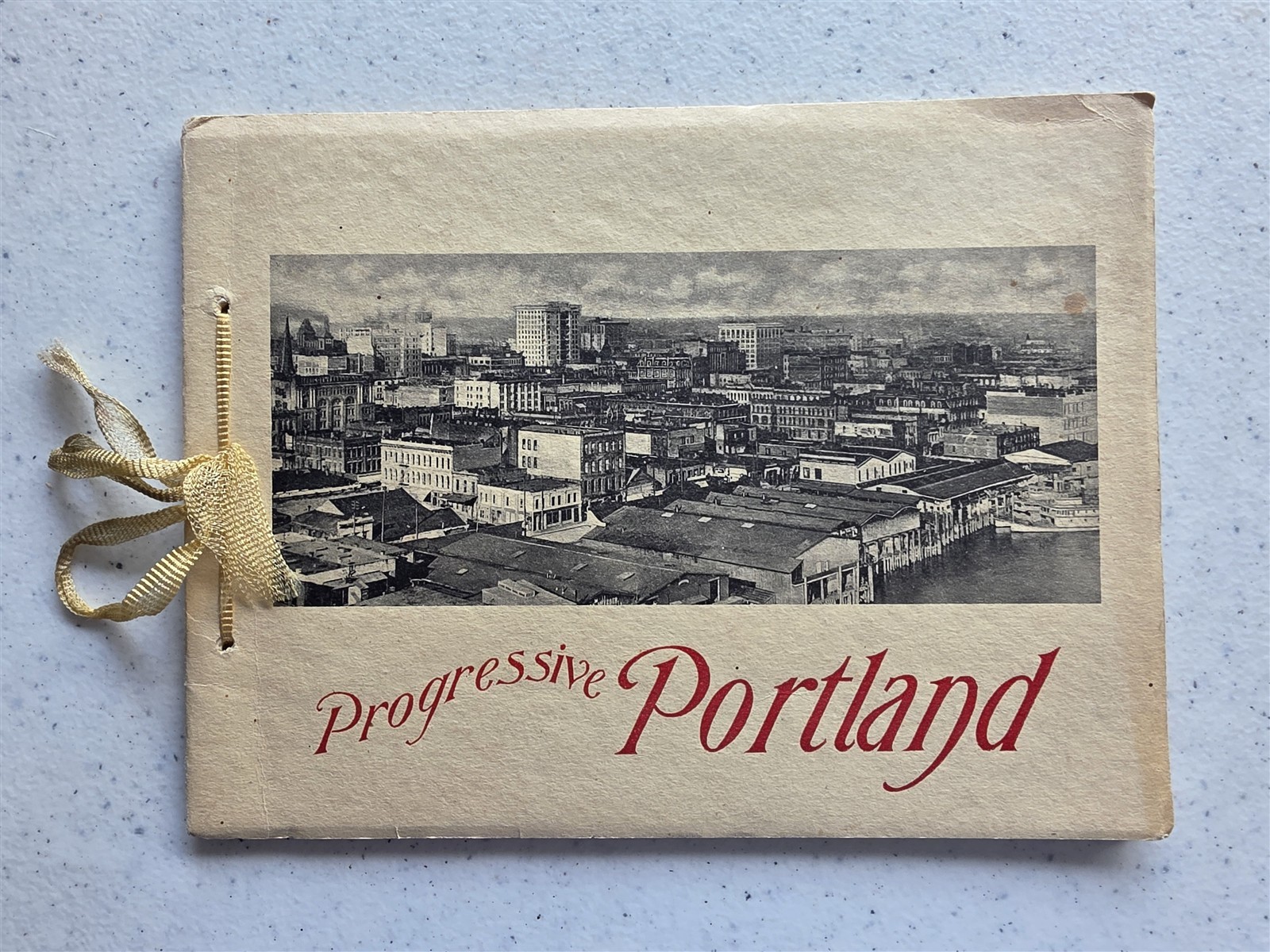 Progressive Portland Oregon, Antique c1910 Portfolio of Photos, 16 Photogravures Progressive Portland Oregon, Antique c1910 Portfolio of Photos, 16 Photogravures