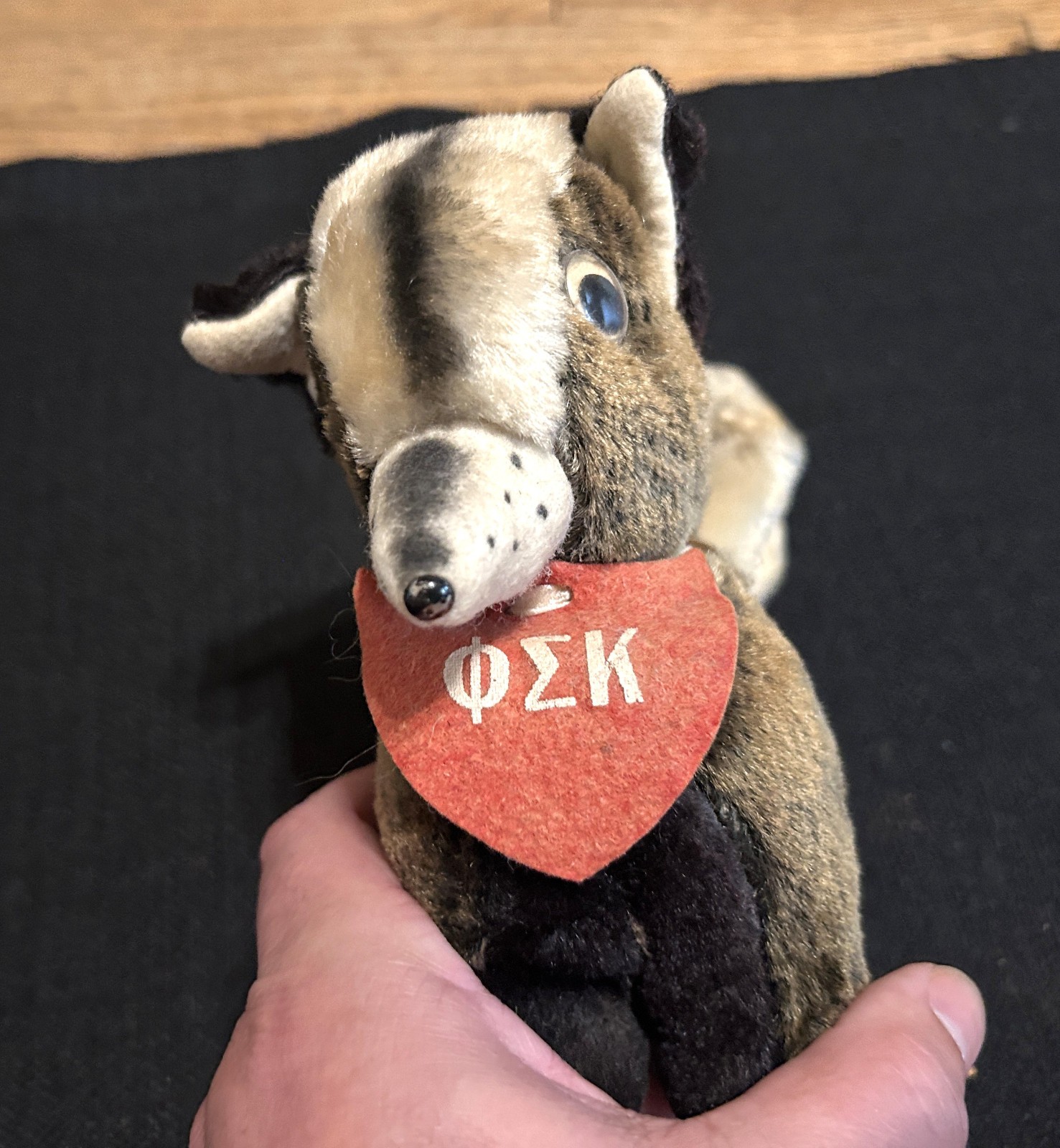 VINTAGE Phi Sigma Kappa fraternity small plush skunk personality pet - OLD