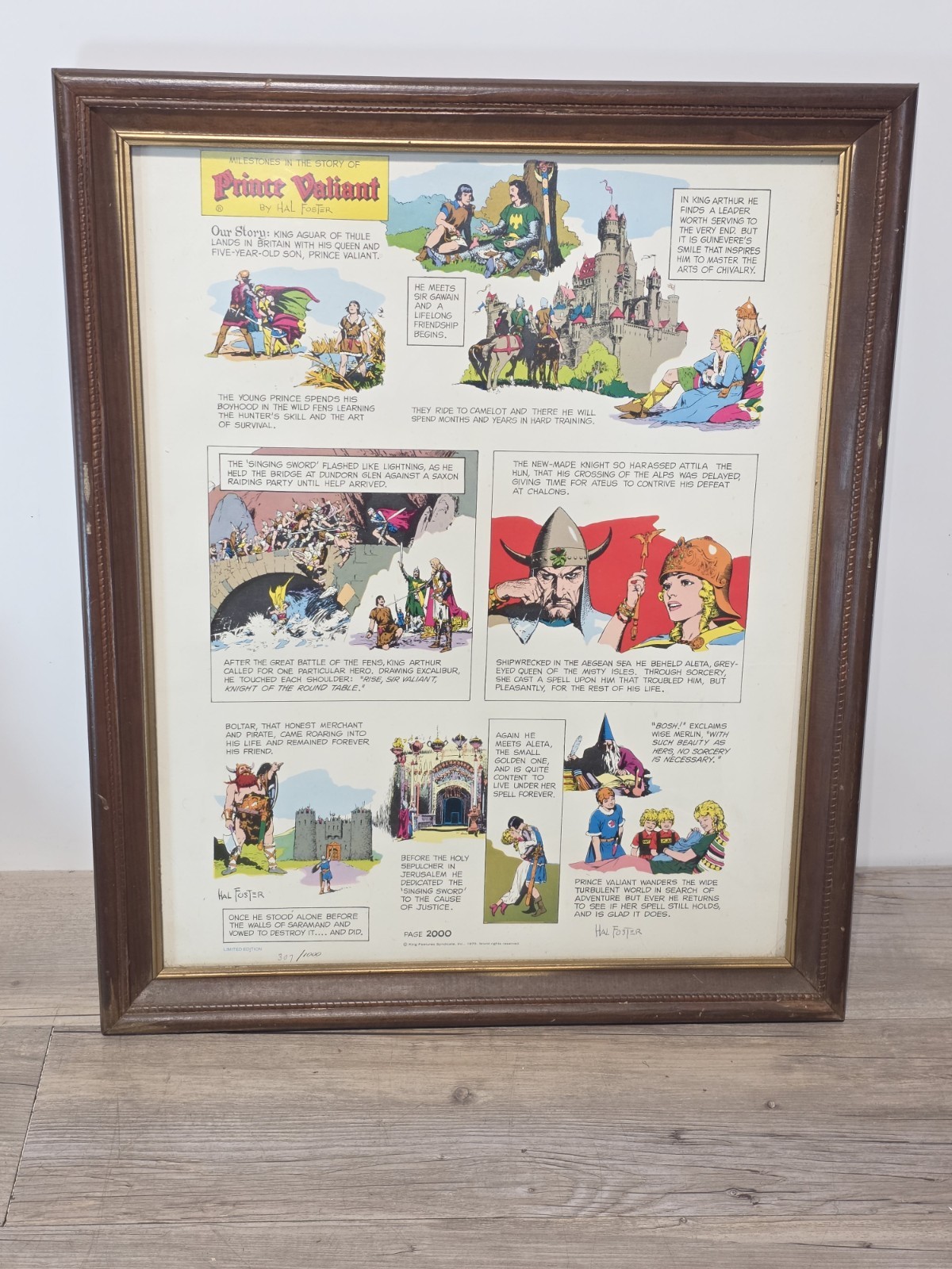 Prince Valiant 1975 Signed Ltd. Ed. Print by Hal Foster Framed Prince Valiant 1975 Signed Ltd. Ed. Print by Hal Foster Framed